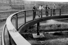 Ferry_Curve_004